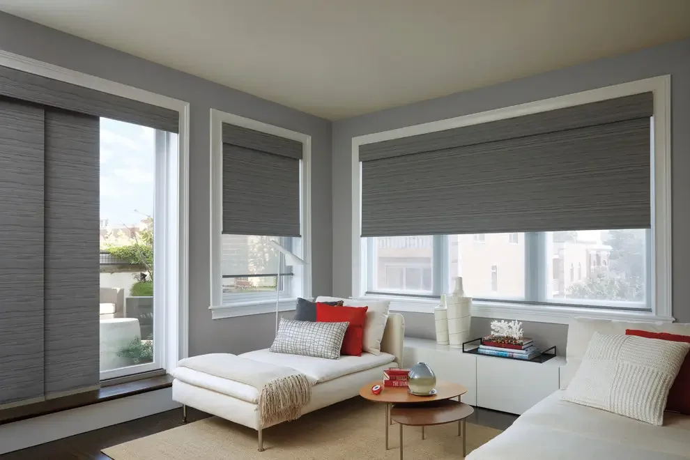 roller blinds gray